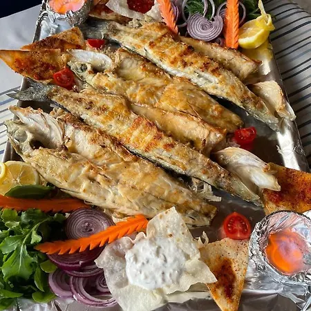 Caunos Antik موتيل